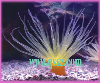 ���溣����