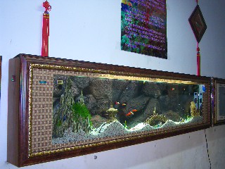 壁挂鱼缸