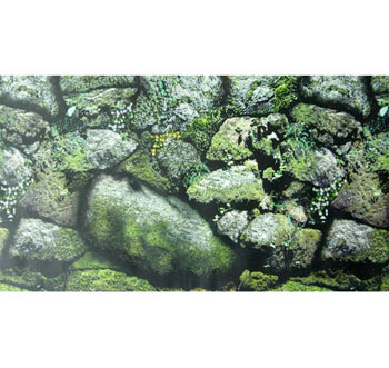 水族器材背景画自然奇石