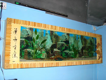 ��̬�ڻ�\��̬��ײ輸\��̬����\��̬ˮ����