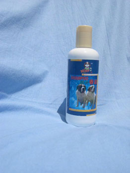 ��Ȯ�㲨