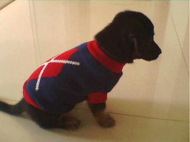 �����װPet Sweater����ë�£���ë�� ��6Ԫ/����