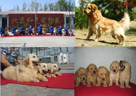 ����Ȯҵ���۽�ë�����ܡ��׾޹󡢹�������������ĦҮ