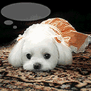 �ӱ߳�����Ʒ��www.0433gou.com-��Ӧ����
