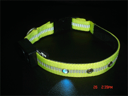 LED ���� ���� ����Ȧ ����Ȧ ������