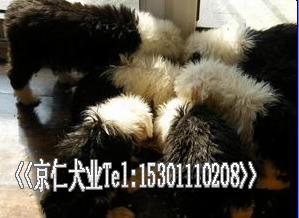 ����Ȯҵ��ֻ���̴���% -��Ӧ���ﹷ