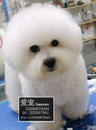  %  �ﳬ�ɰ������ܡ���������-��Ӧ���ﹷ