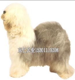 ����Ȯҵ��ֻ���̴���% -��Ӧ���ﹷ