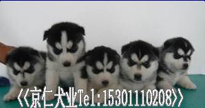 ����Ȯҵ���۹�ʿ������%-��Ӧ���ﹷ