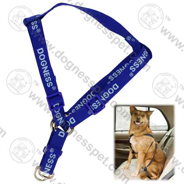 PET���������Ứͼ���ر���-��Ӧ���ر���