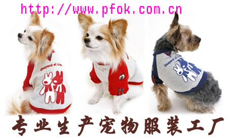 ��Ӧ���ݳ���֮�ҳ����·�-��ӦT��