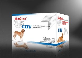 �����ԭװ����KoQineȮ���ȼ�⿨��CDV