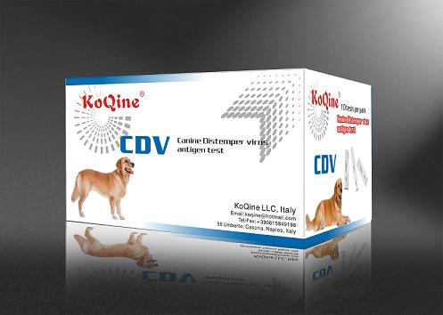 ���������KoQine���Ｒ����⿨,Ȯ����CDV��ȮϸС����CPV