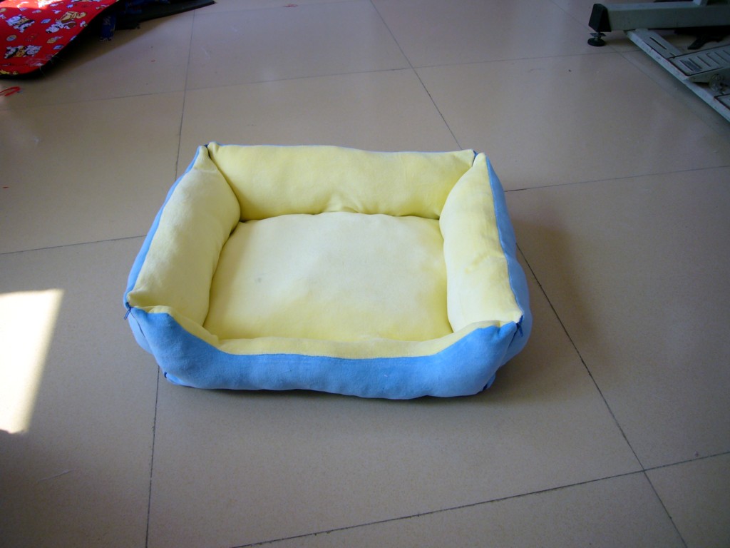 �����ѵ�