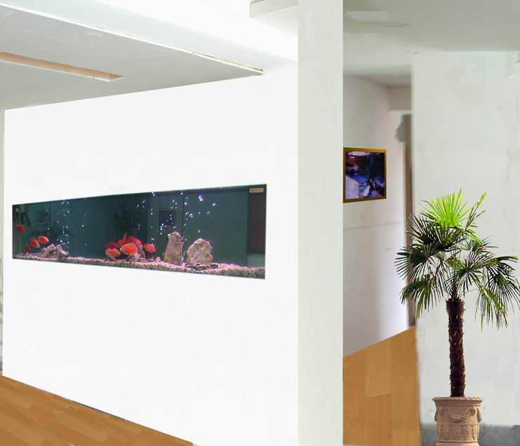 杭州乐彩水族壁挂生态鱼缸