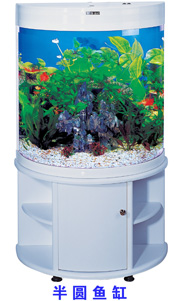 水族箱，玻璃鱼缸