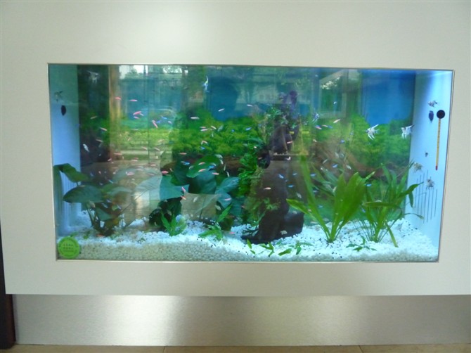 银拉丝生态壁画鱼缸