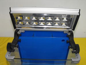 ��Ӧ����������LED�߹������Ͻ��