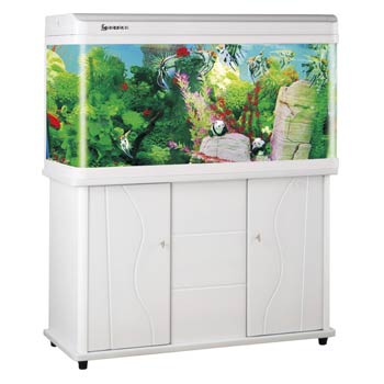 ��Ӧ����R6ƽ�满�θ�R61050