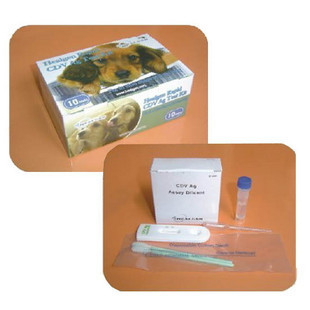 Ȯ�������ֽ��CDV)