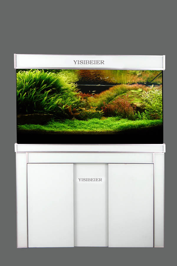 ����YISIBEIER�¿�ݸ�