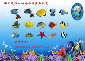 ��ˮ����������-��Ӧ����ˮ����Ʒ