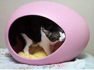 ��Ӧʱ�е��γ�����